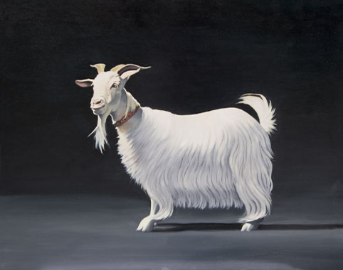 482x380 Oil Painting William The Goat - Goat Painting