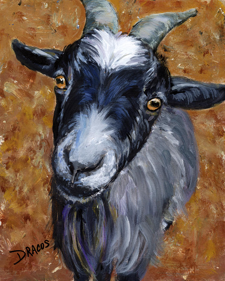 720x900 Pygmy Goat Looking Up Painting By Dottie Dracos - Goat Painting