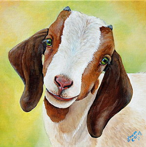 299x300 Boer Goat Paintings Fine Art America - Goat Painting