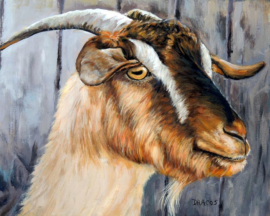900x720 Brown Cashmere Goat Painting Painting By Dottie Dracos - Goat Painting