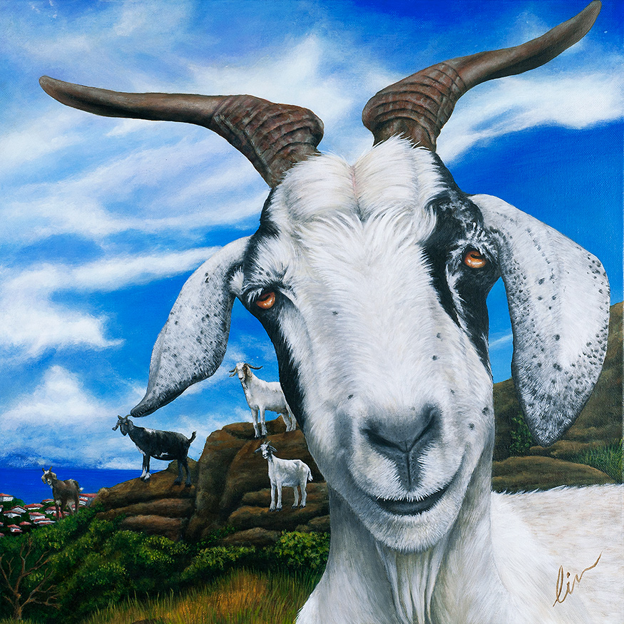 875x875 Goats Of St Martin - Goat Painting On Canvas