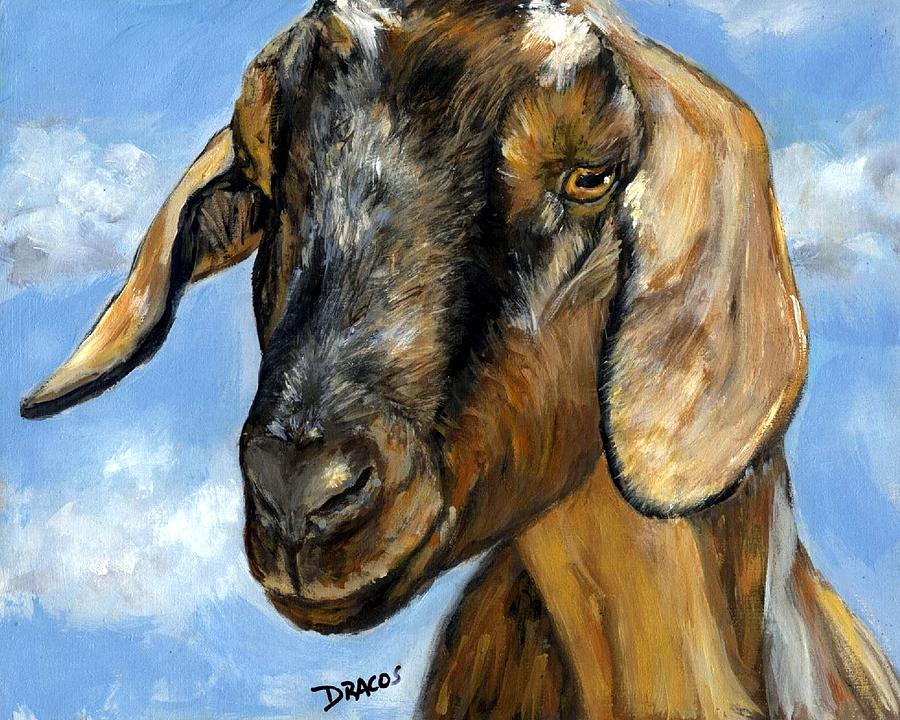 900x720 Nubian Goat Portrait Painting By Dottie Dracos - Goat Painting On Canvas