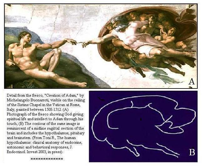 645x529 Renaissance Analysis The Creation Of Adam The Thinking Chair - God Creating Adam Painting