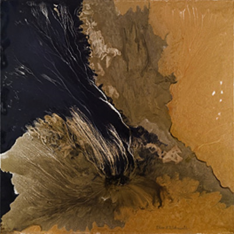 800x800 Gold Canyon 2 Rhona Lk Schonwald - Gold Canyon Painting