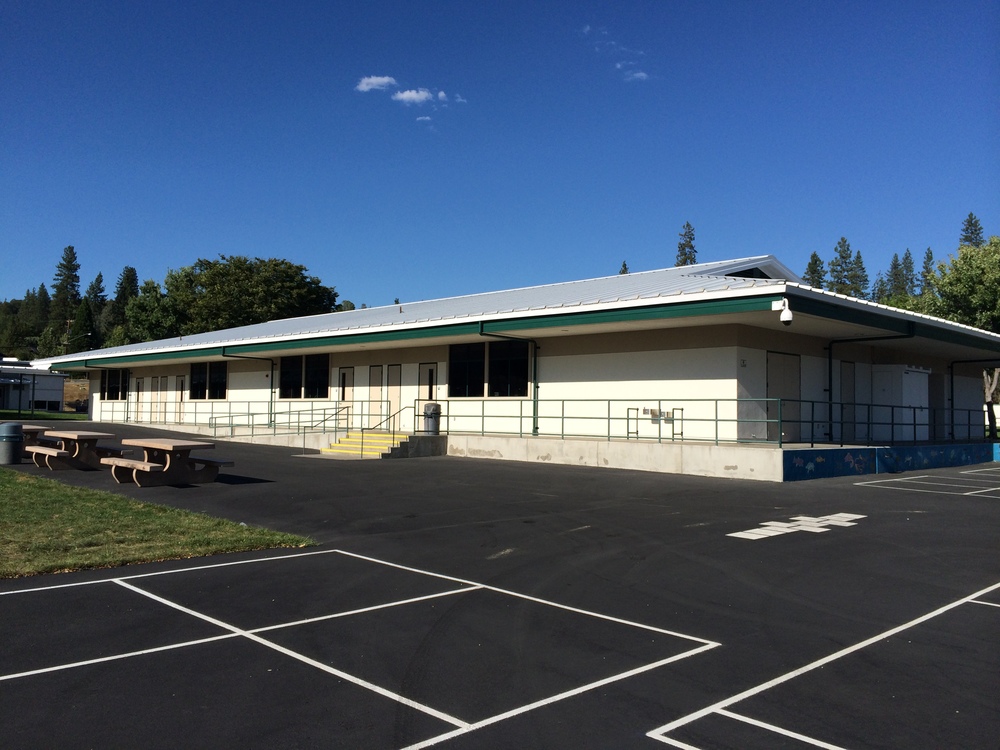 1000x750 Golden Crest Painting - Golden Crest Painting