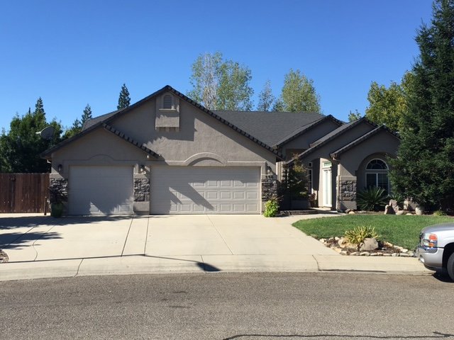 640x480 Golden Crest New Paint! - Golden Crest Painting