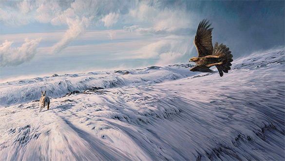 585x330 Golden Eagle Pictures - Golden Eagle Painting