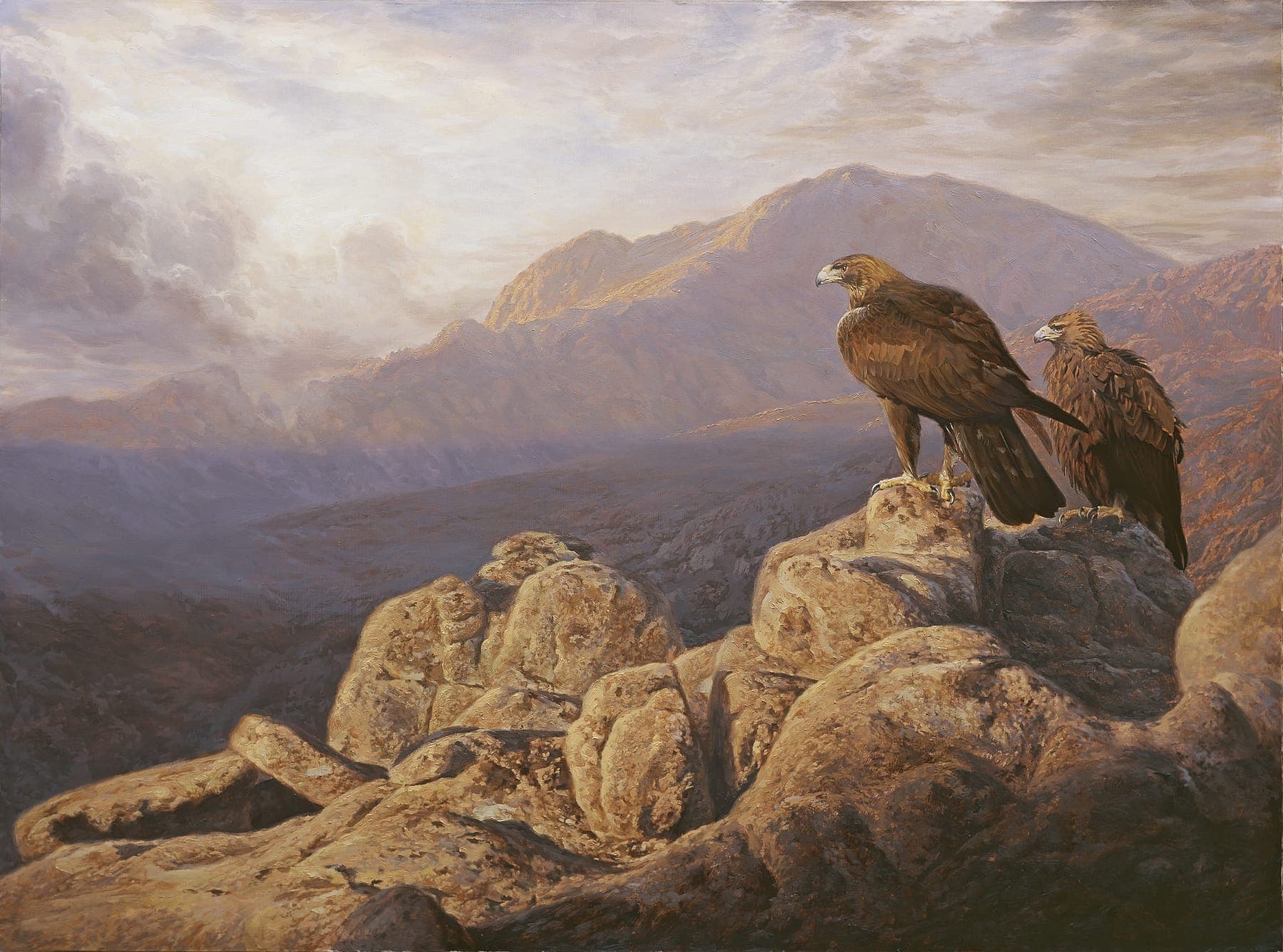 1800x1336 Golden Eagles - Golden Eagle Painting