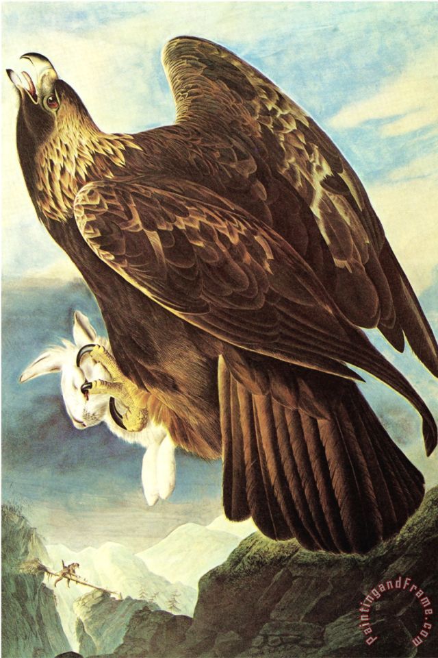 640x960 John James Audubon Golden Eagle Painting - Golden Eagle Painting