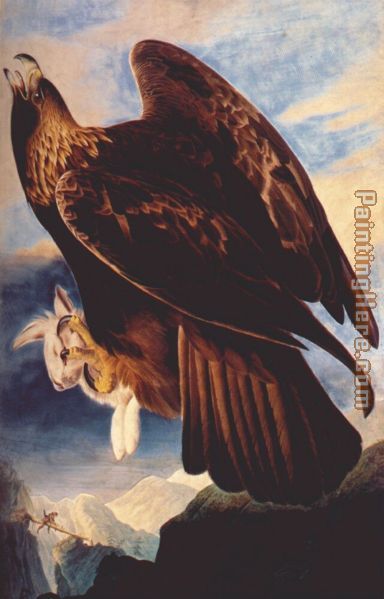 384x599 John James Audubon Golden Eagle Painting Anysize 50% Off - Golden Eagle Painting