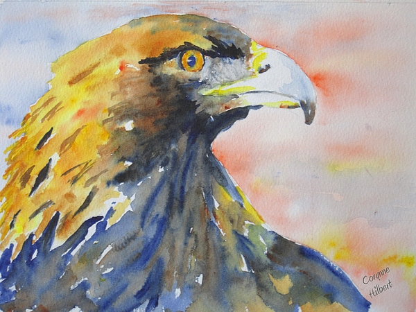 600x450 Majestic Golden Eagle Painting By Corynne Hilbert - Golden Eagle Painting