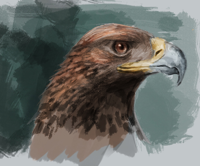 700x580 Painting Golden Eagle Tutorial - Golden Eagle Painting