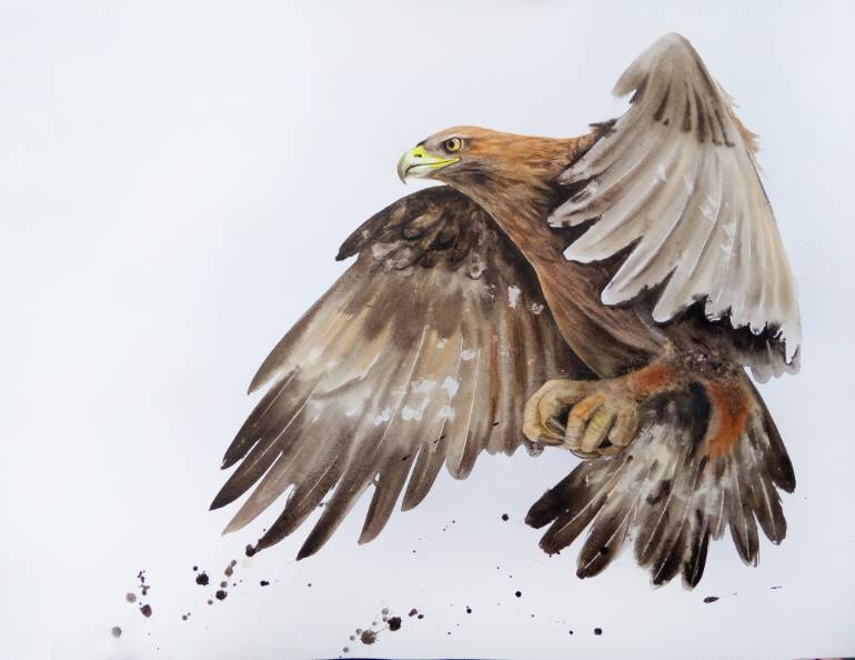 770x594 Saatchi Art Golden Eagle In Flight Painting By Olga Beliaeva - Golden Eagle Painting