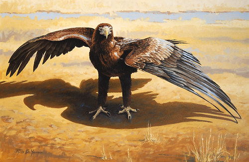 500x326 The Sun Worshipper, Original Painting, Golden Eagle Artwork - Golden Eagle Painting