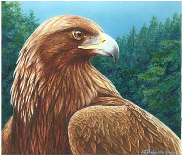 366x311 Golden Eagle - Golden Eagle Painting