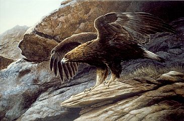366x241 Golden Eagle - Golden Eagle Painting
