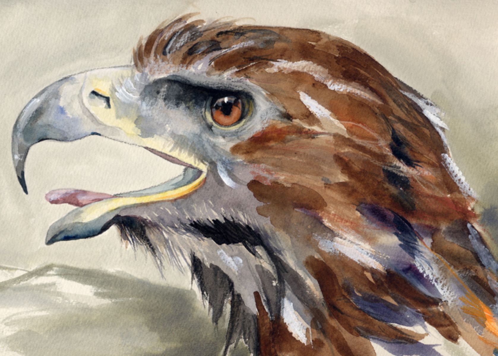 1677x1200 Golden Eagle Head - Golden Eagle Painting