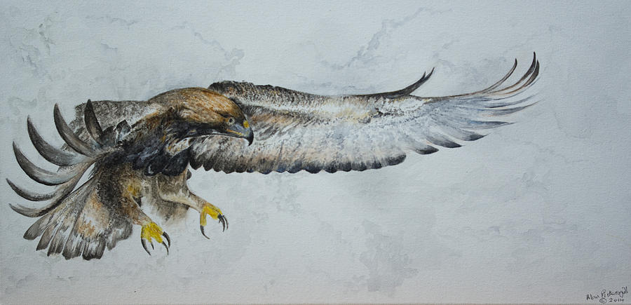 900x435 Golden Eagle Painting By Alan Pickersgill - Golden Eagle Painting