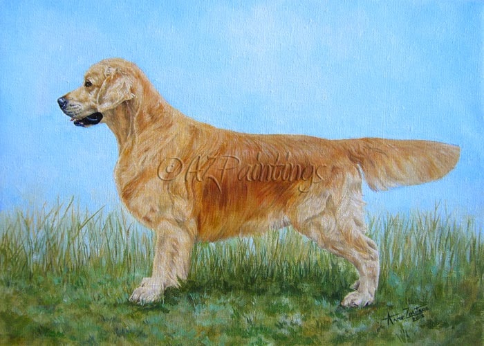 700x500 Golden Retriever Oil Painting And Another Apology By Artist Anne - Golden Retriever Oil Painting