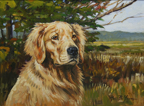 500x368 True Companion - Golden Retriever Oil Painting