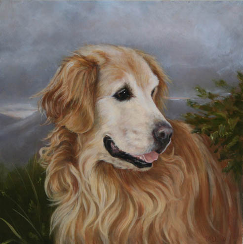 492x494 Golden Retriever Painting Madeline Falk Fine Art Paintings - Golden Retriever Oil Painting