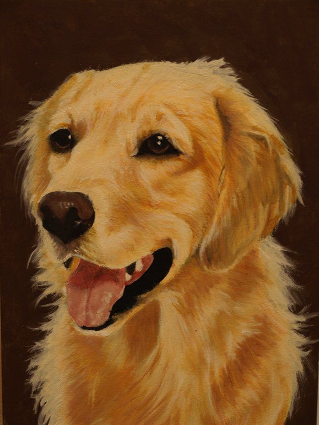 645x860 How To Paint A Golden Retriever Golden Retriever Carss66 Www - Golden Retriever Oil Painting