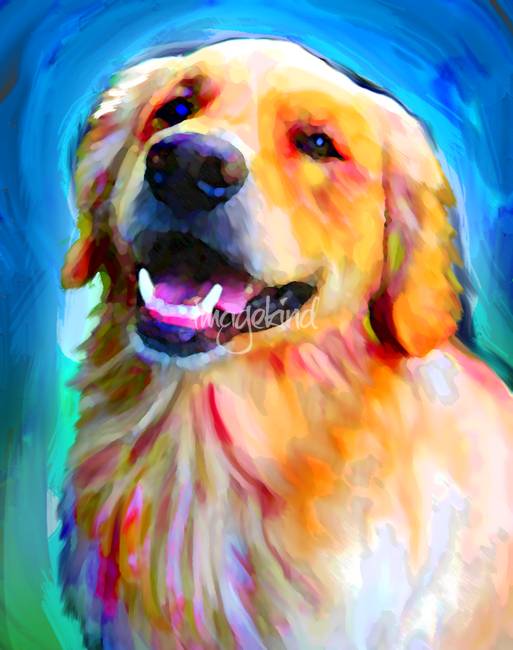 513x650 Golden Retriever By David Corrente - Golden Retriever Painting
