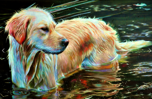500x326 South Simcoe Arts Council - Golden Retriever Painting