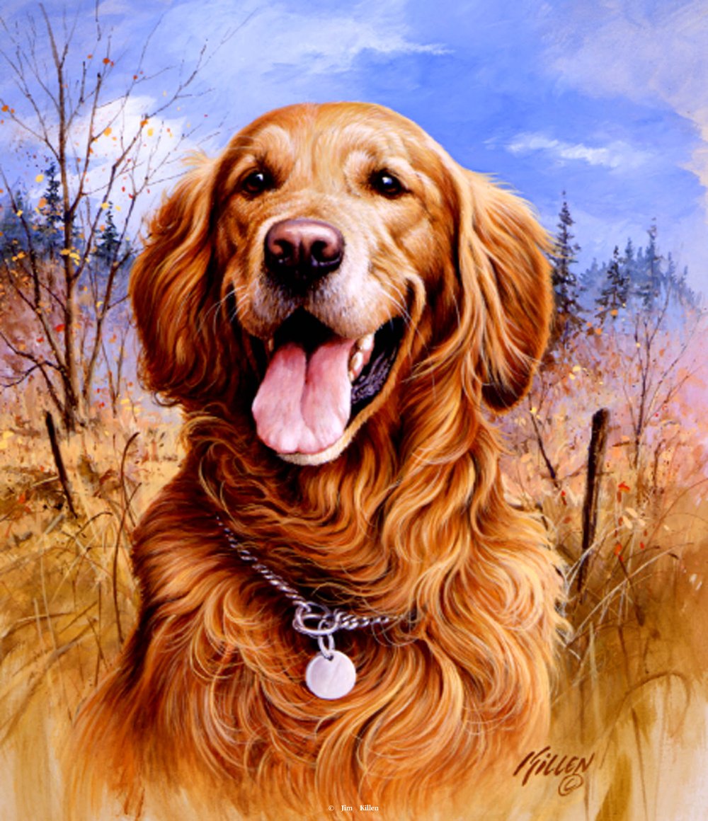 1000x1160 That's My Dog, Too! Golden Retriever Painting By Jim Killen - Golden Retriever Painting