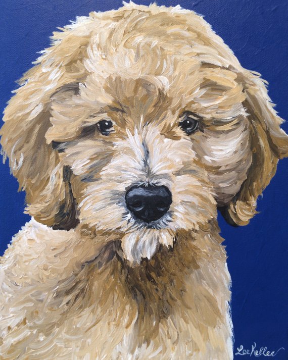 570x713 Goldendoodle Art Print From Original Painting - Goldendoodle Painting