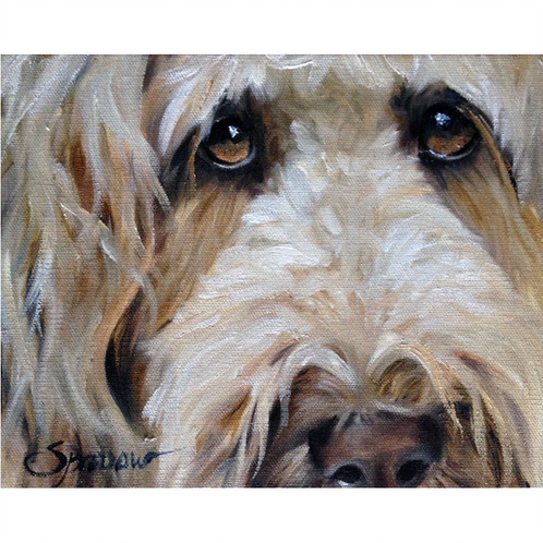 498x498 Print Golden Doodle Goldendoodle Art Print - Goldendoodle Painting