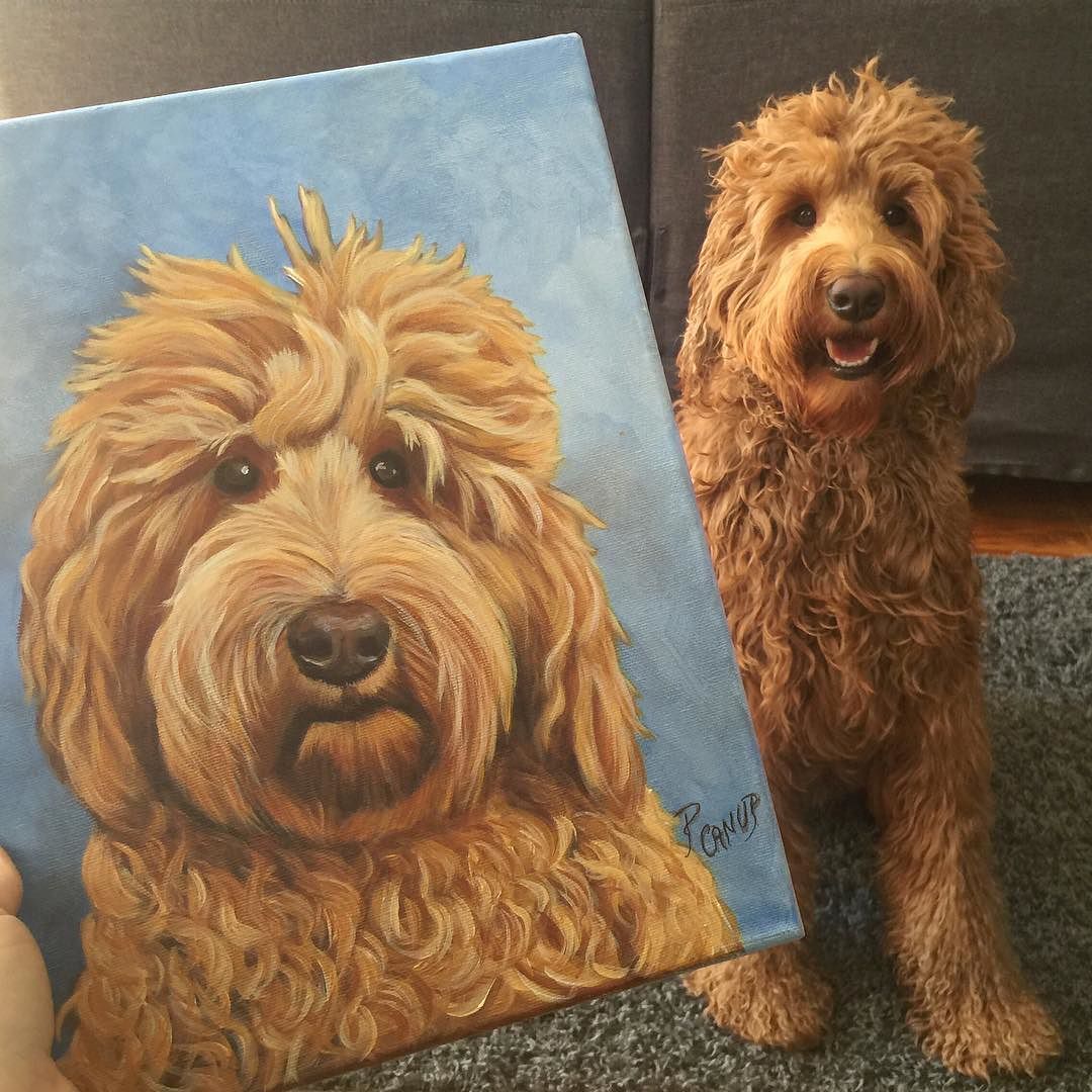 1080x1080 That's A Very Fine Portrait If I Do Say So Myself My Doodle Pal - Goldendoodle Painting