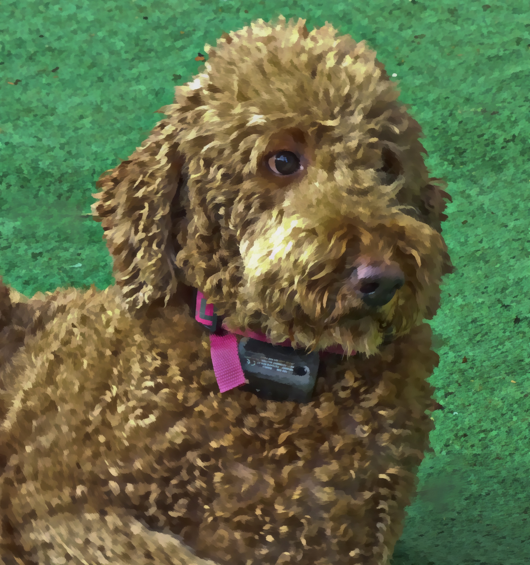 1803x1920 Golden Doodle Painting Free Stock Photo - Goldendoodle Painting