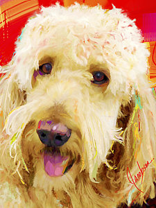 225x300 Golden Doodle Paintings - Goldendoodle Painting