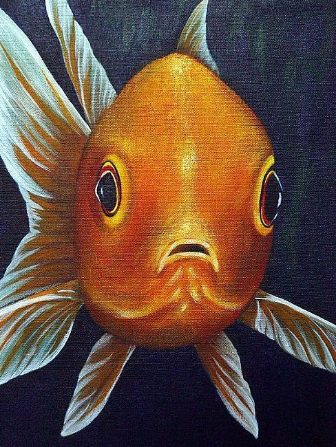 488x650 Image Result For Goldfish Art Oil Goldfish Amp Other Aquatic Gems - Goldfish Bowl Painting