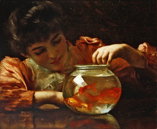 550x454 The Goldfish Bowl - Goldfish Bowl Painting