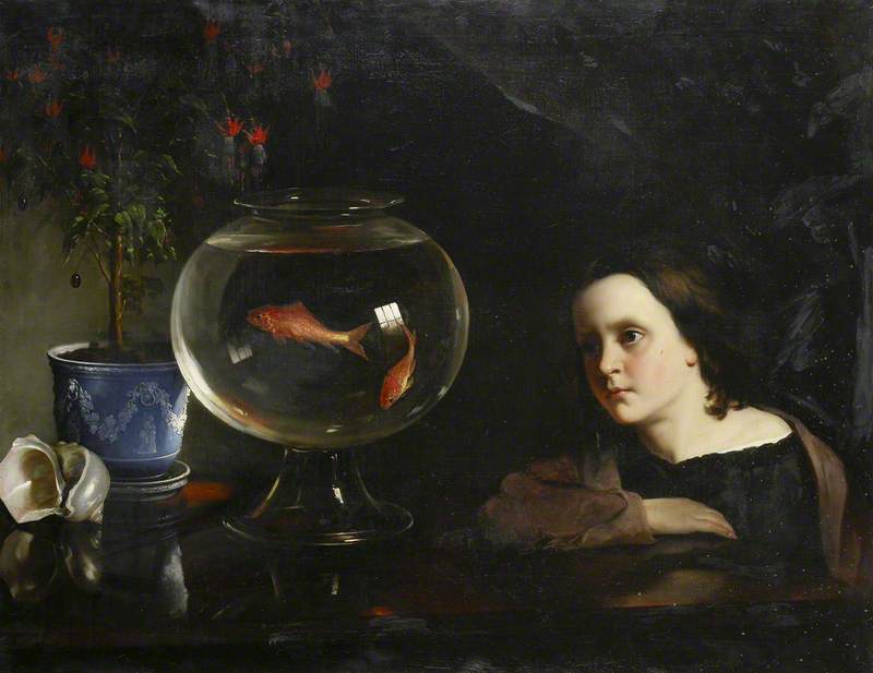 800x617 The Goldfish Bowl Art Uk - Goldfish Bowl Painting
