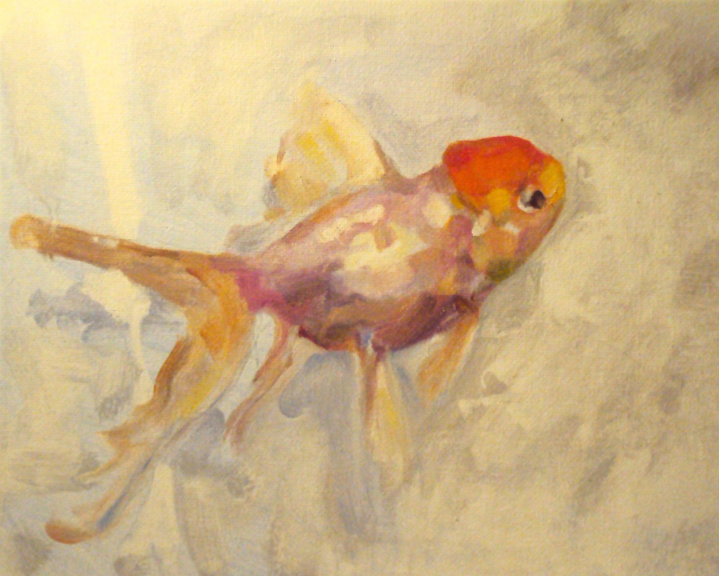 2336x1873 Goldfish Painting Jay Bastian - Goldfish Oil Painting