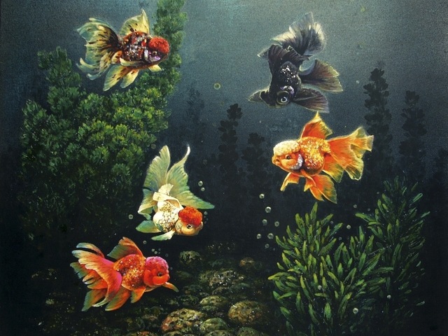 640x480 Canvas Printed Art From Hand Painted Oil Painting Impression - Goldfish Oil Painting
