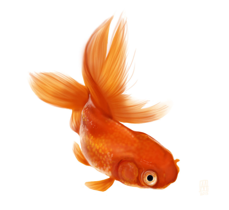 934x856 Goldfish - Goldfish Painting