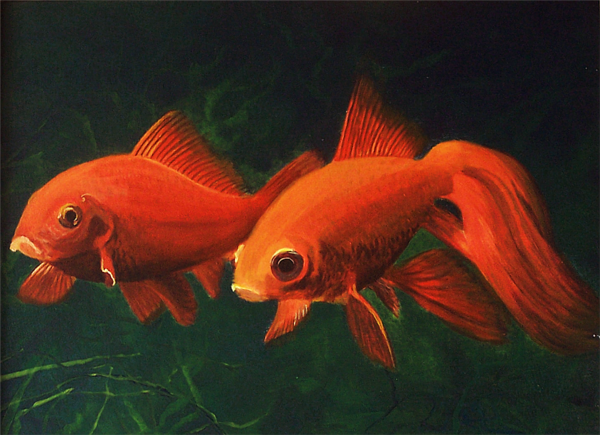 600x435 Goldfish - Goldfish Painting