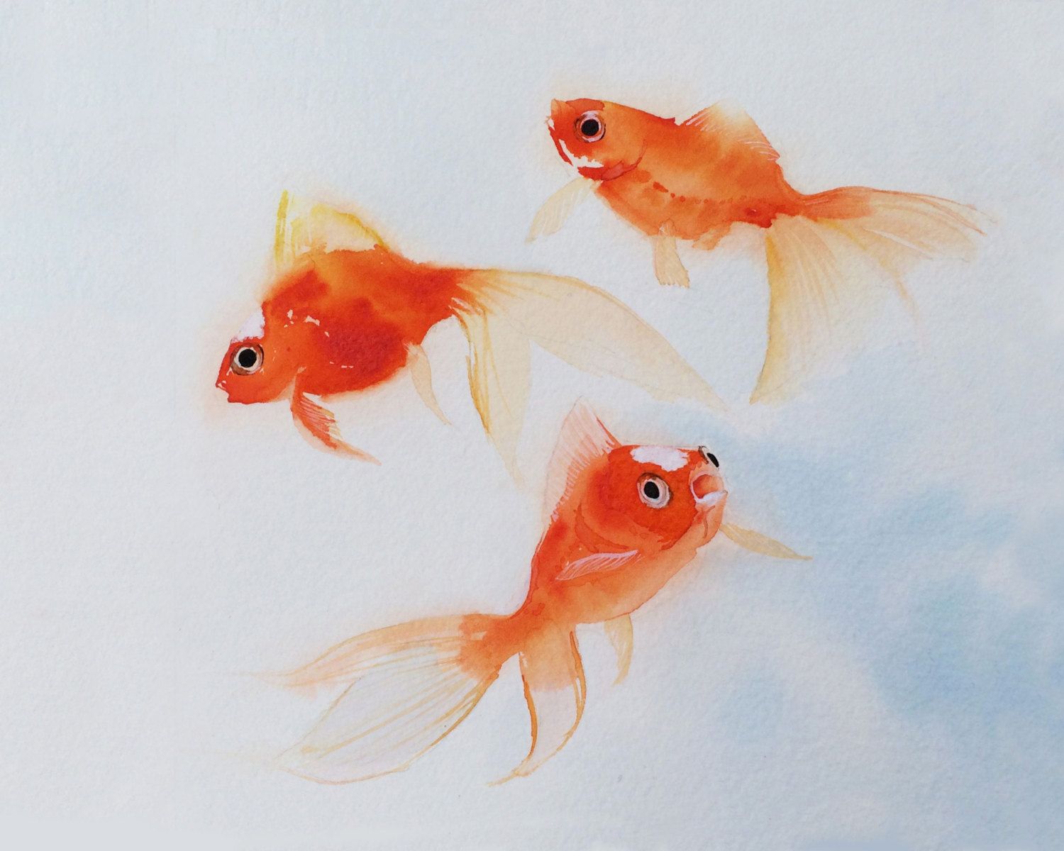 1500x1200 Goldfish Art Watercolor Goldfish Painting By Sweetpeaandgummybear - Goldfish Painting