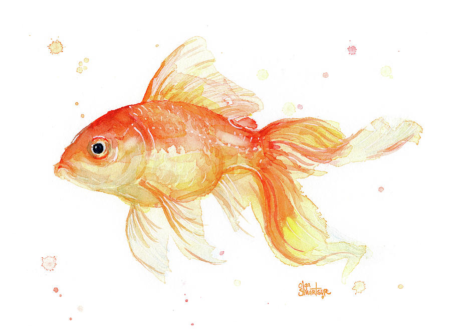 900x664 Goldfish Painting Watercolor Painting By Olga Shvartsur - Goldfish Painting
