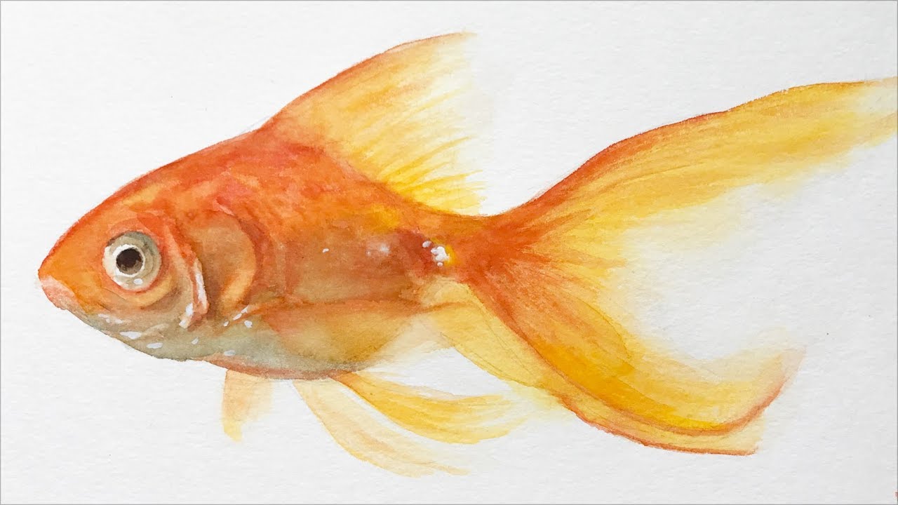 1280x720 Watercolor Painting Lesson - Goldfish Painting