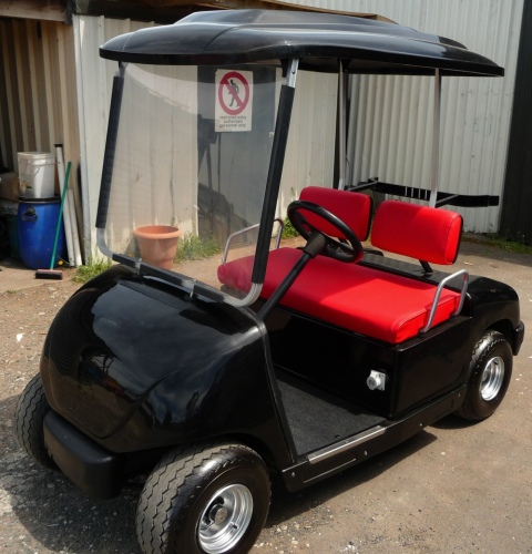 480x500 Painting Low Pressure Chemical Washing Water Blasting - Golf Cart Painting