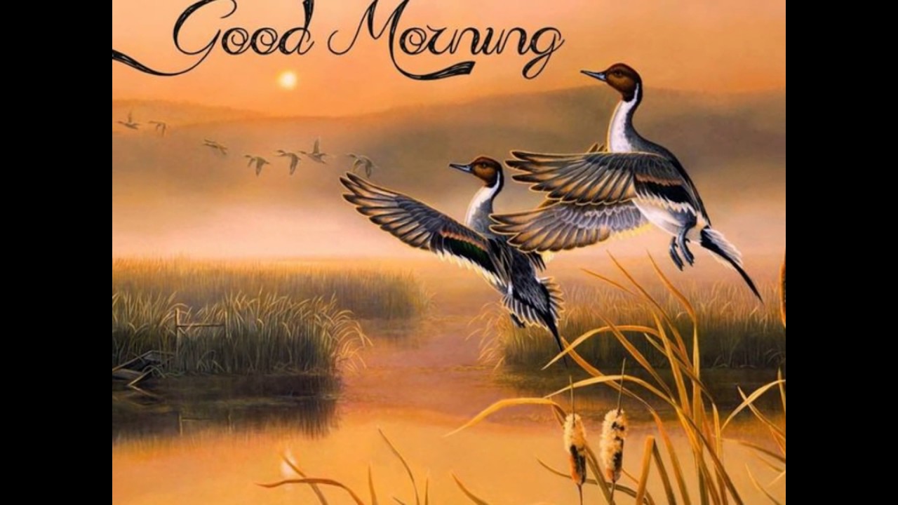 Good Morning Painting at Explore collection of