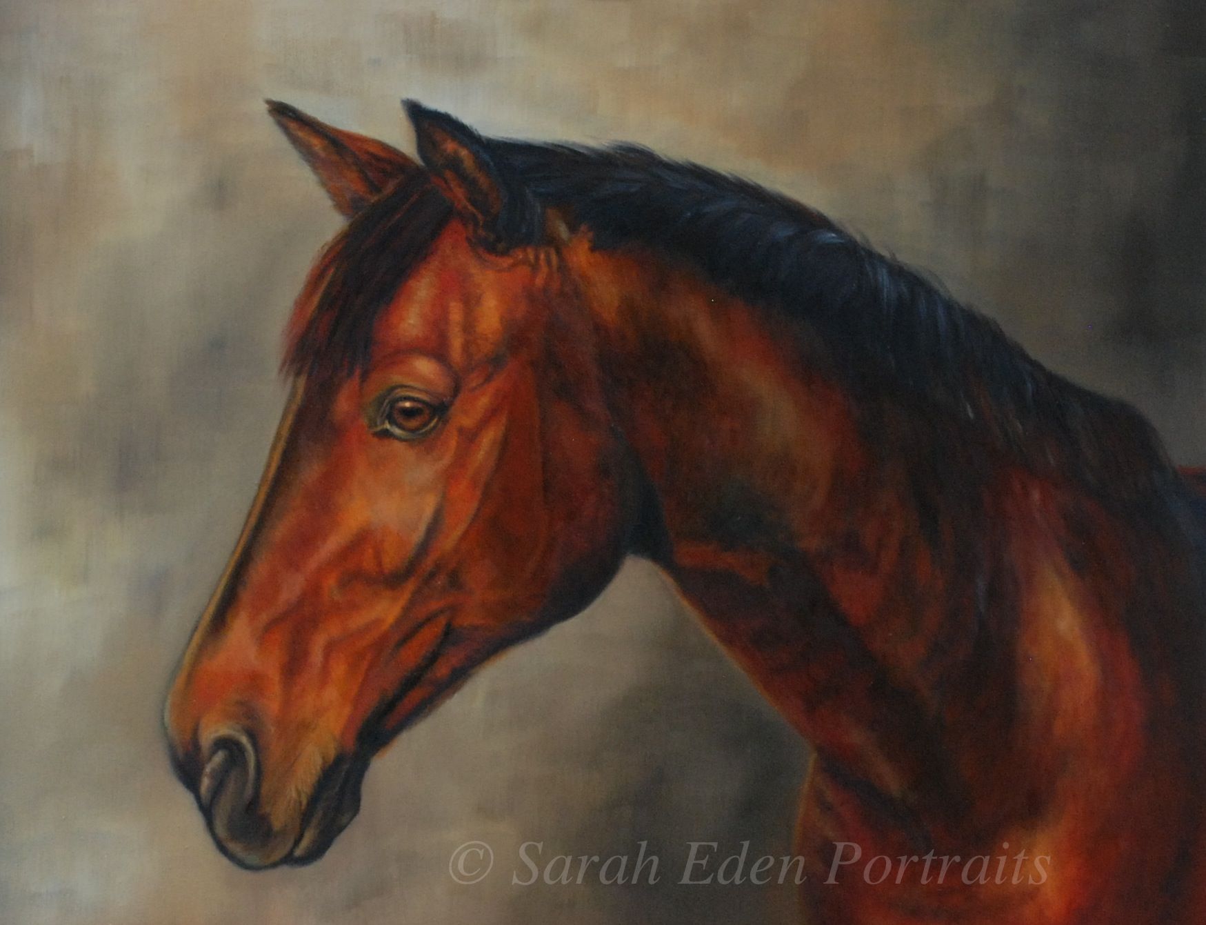 1749x1341 Goodwill Hunting', Horse Painting By Sarah Eden - Good Will Hunting Painting