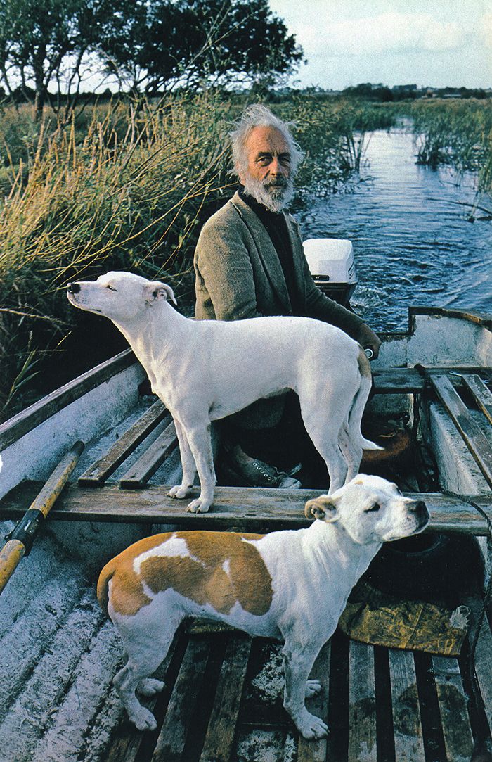 700x1083 Goodfellas - Goodfellas Dog Painting Framed