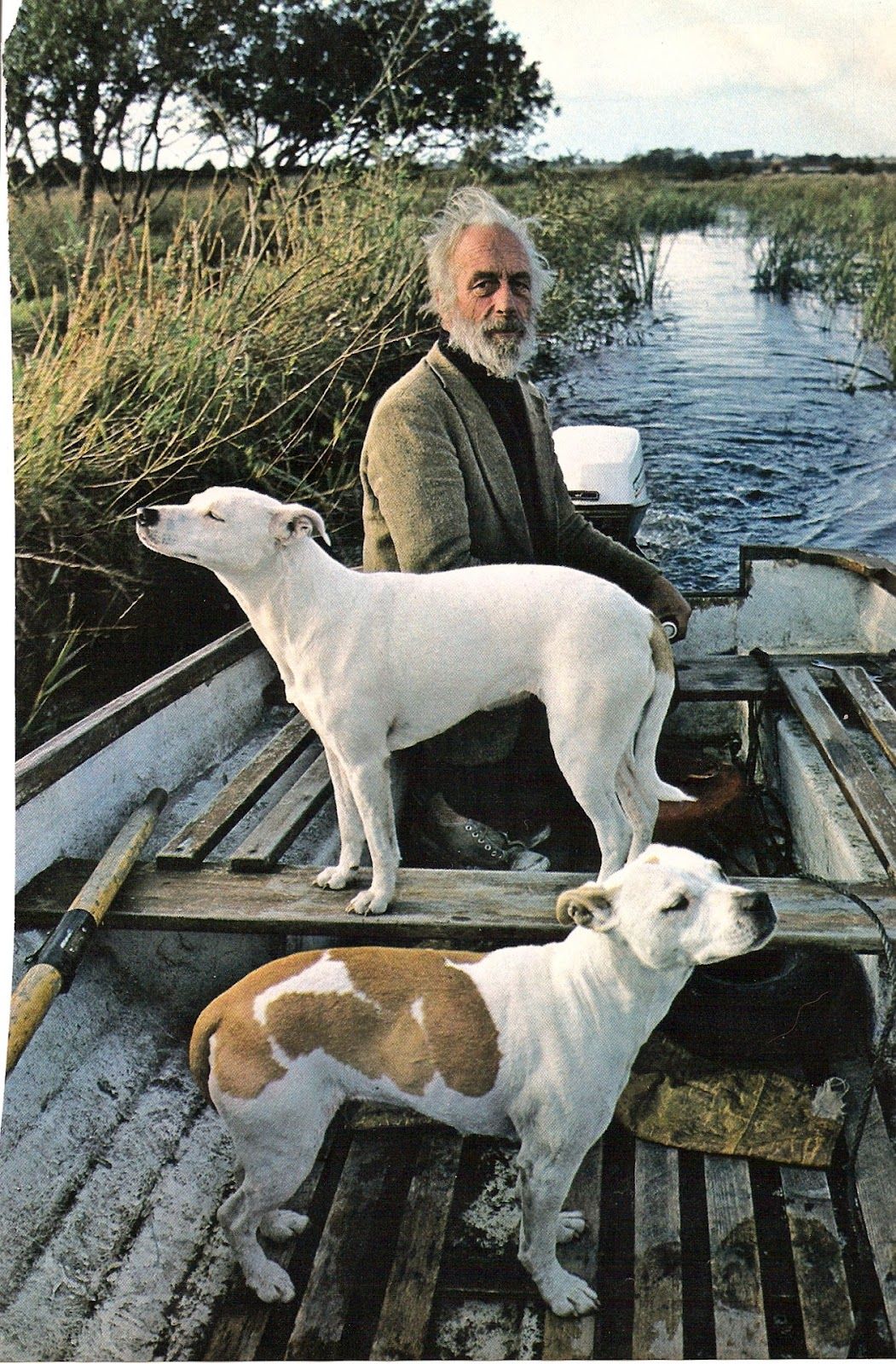 1051x1600 Hahaha Isn'T This The Painting From Goodfellas One Dog Goes One - Goodfellas Dog Painting Quote