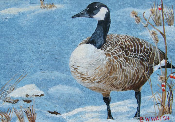 720x501 Canadian Goose, After The Storm - Goose Painting